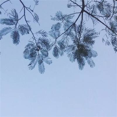 3月25日沪深两市涨停分析：华电辽能8连板，中利集团4连板